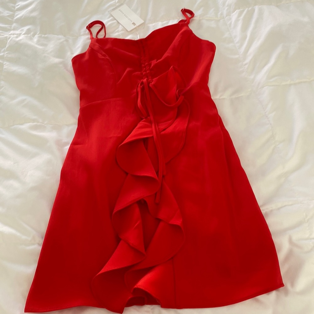 Endless rose red dress